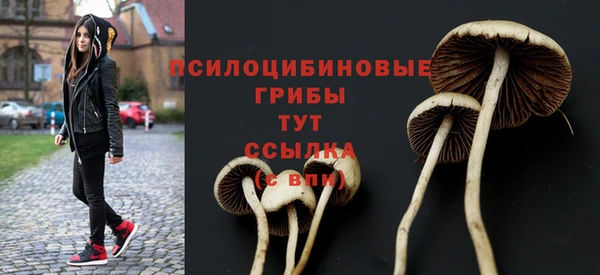 кокс Баксан